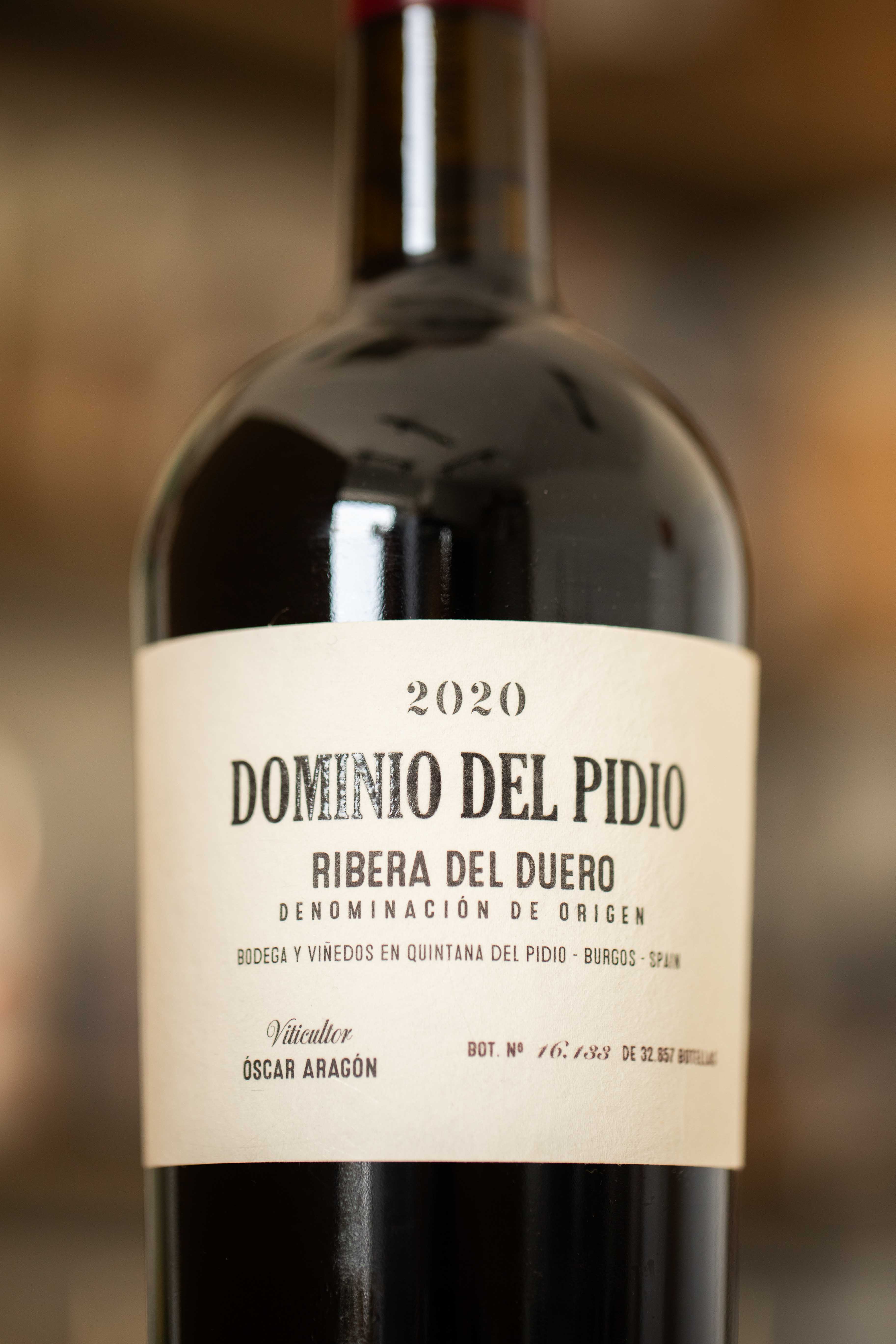 Dominio del Pidio