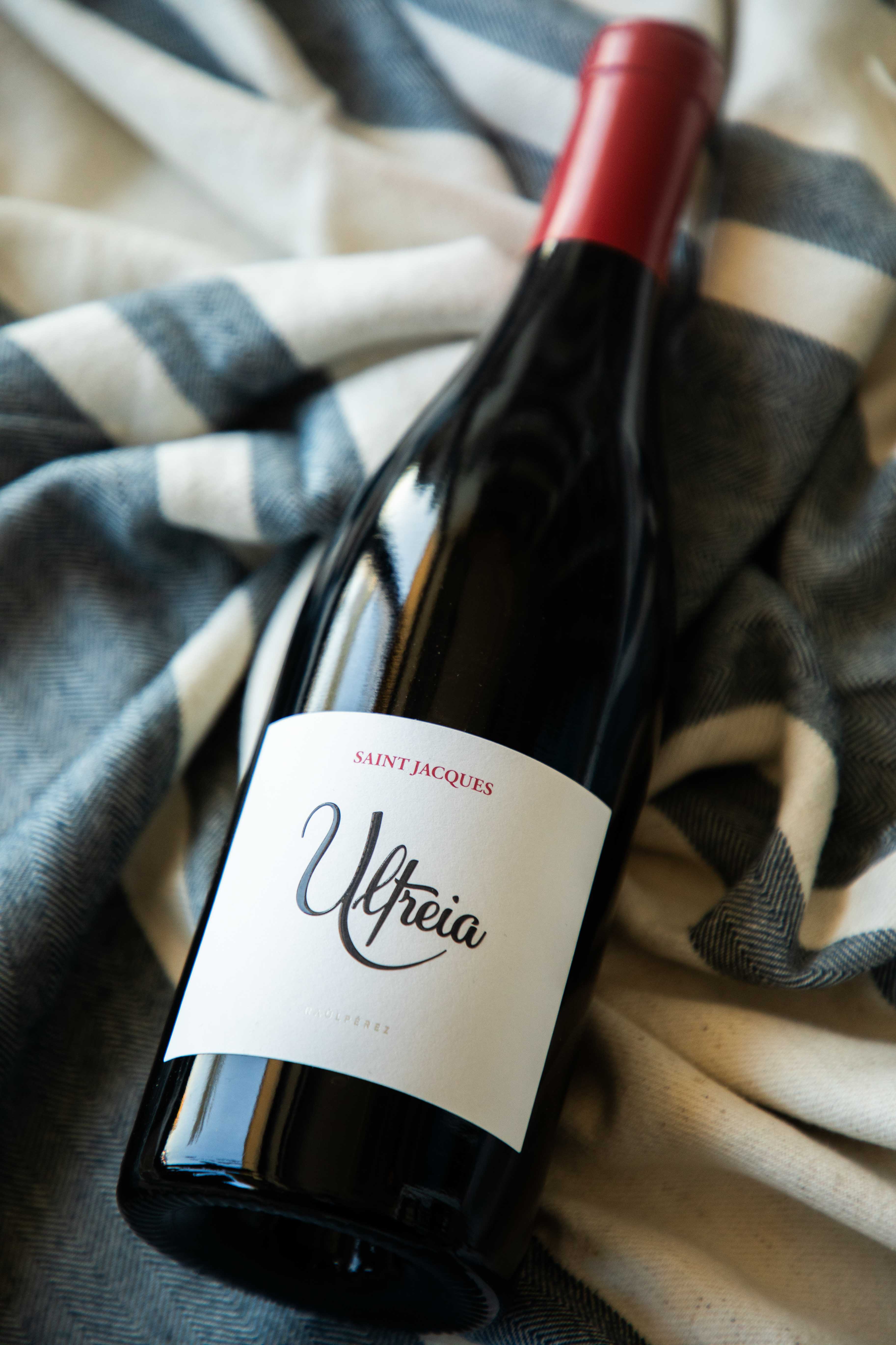 Ultreia Saint Jacques Raul Perez