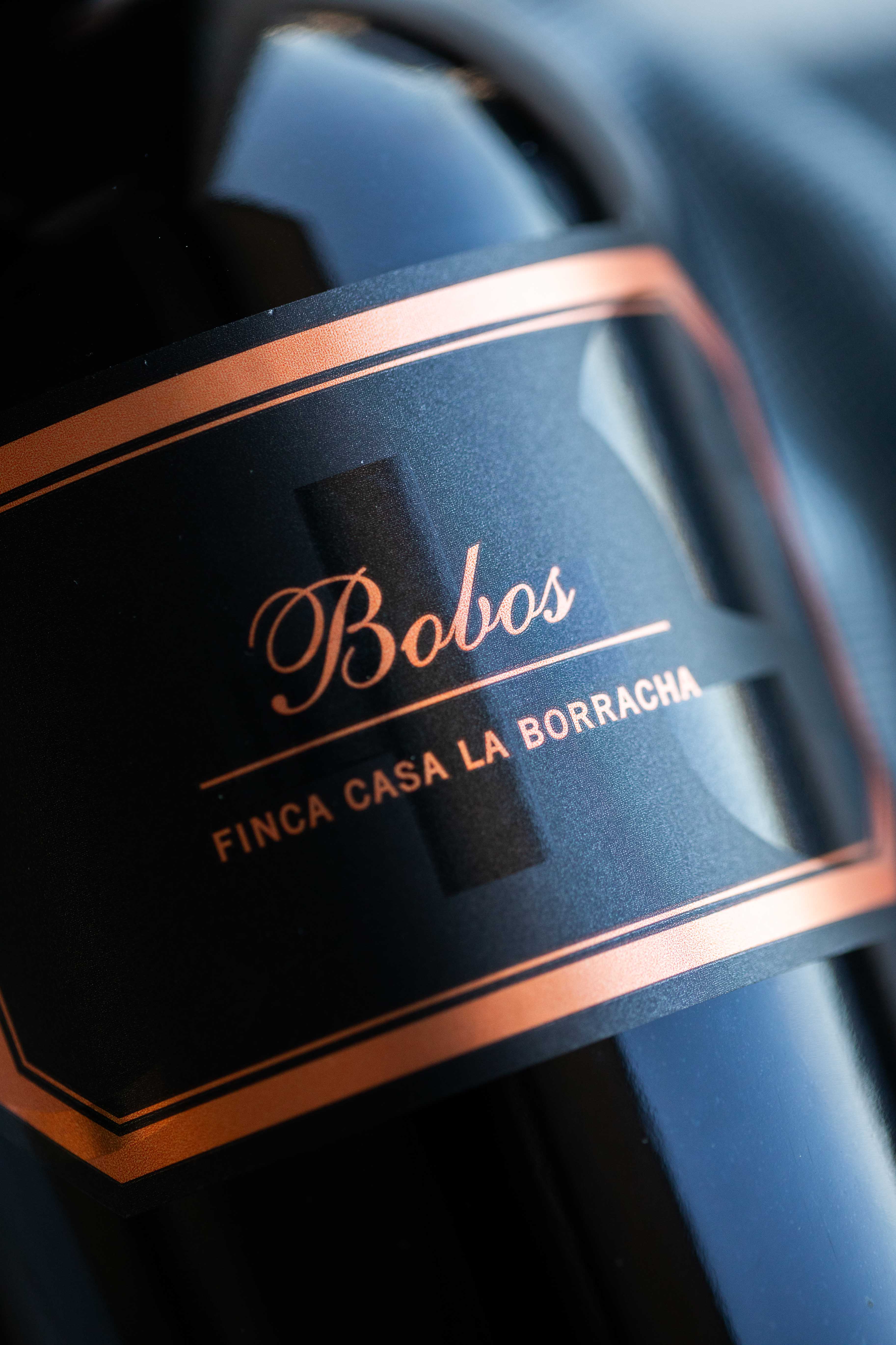 Bobos Finca Casa la Borracha