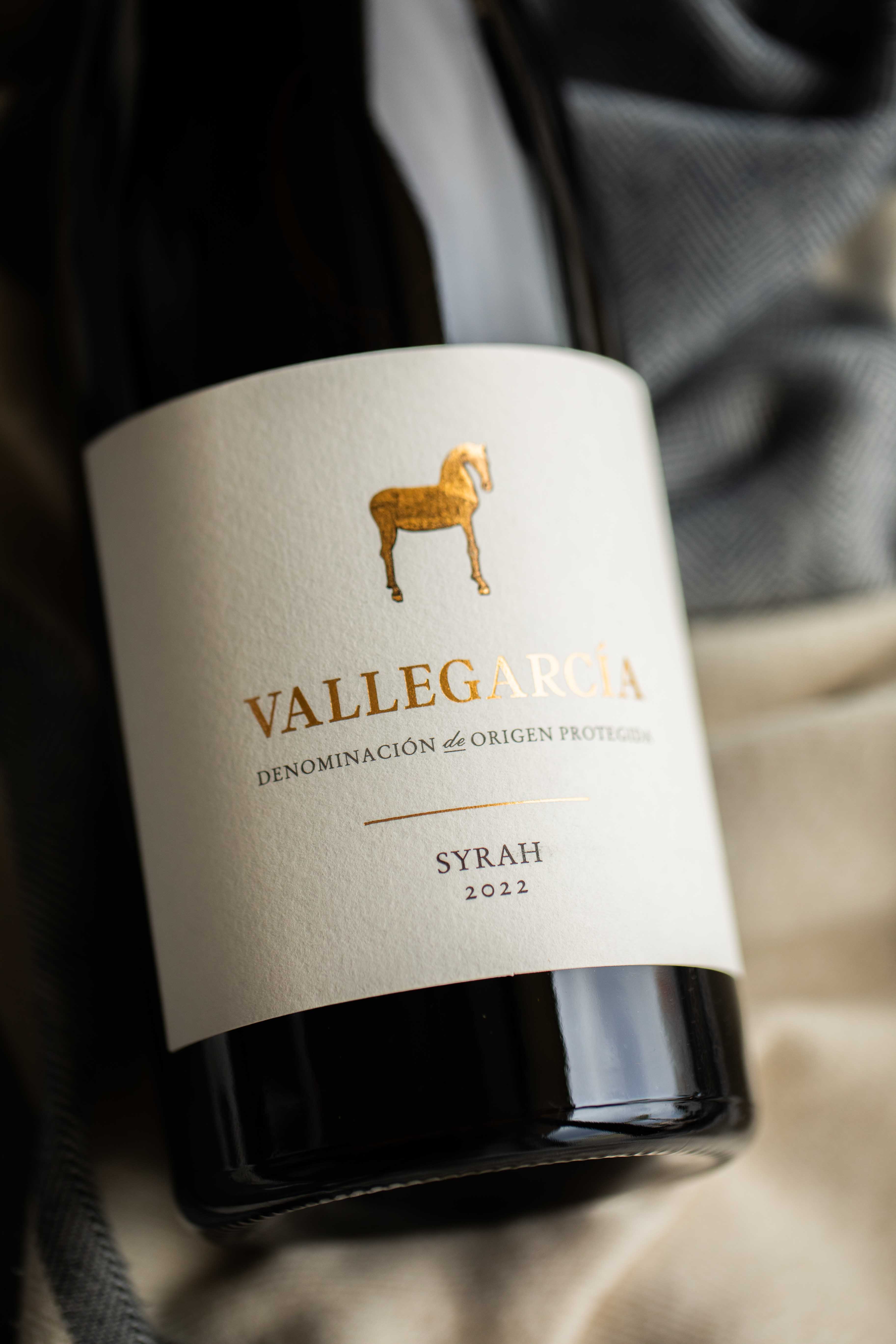 Vallegarcía Syrah