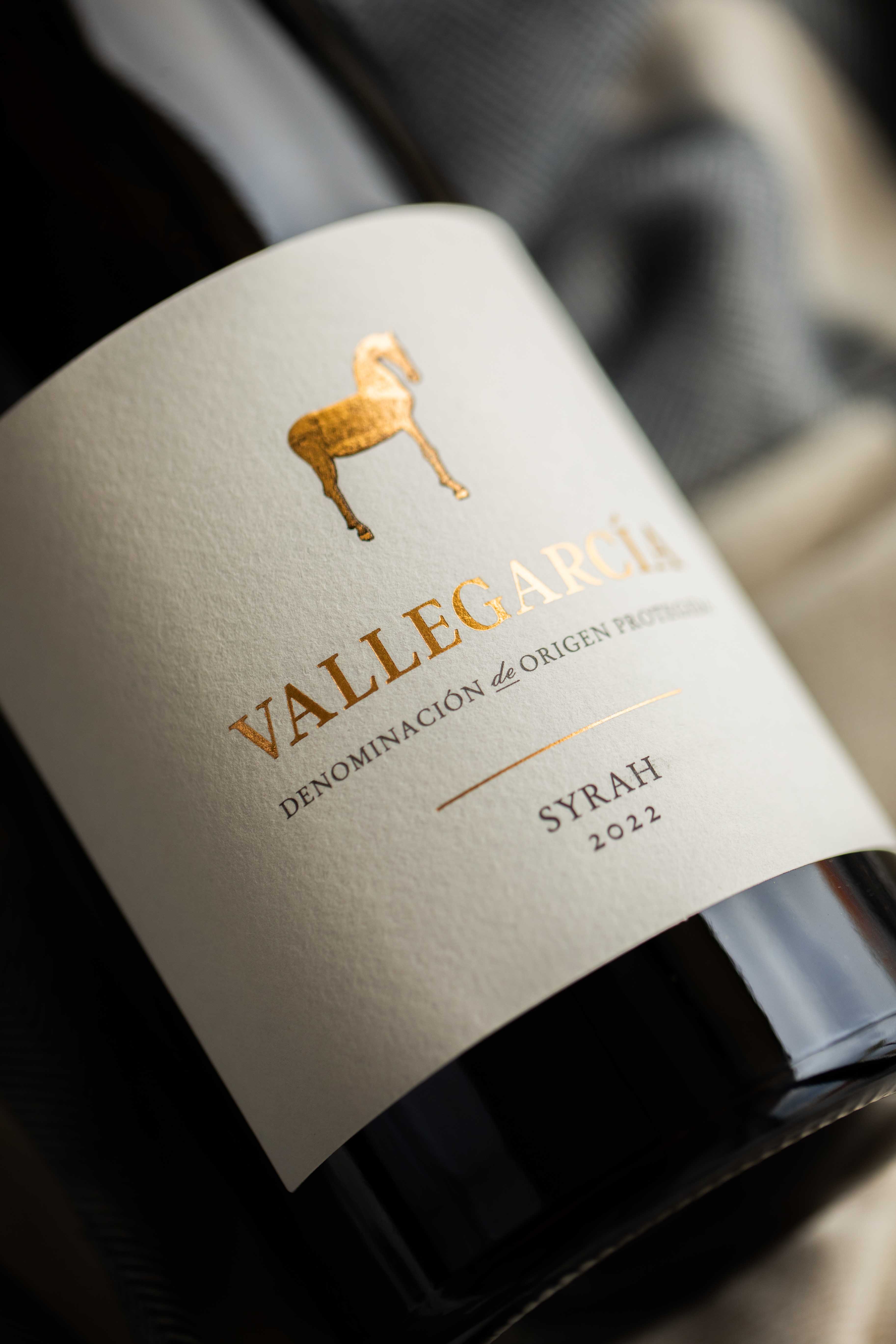 Vallegarcía Syrah